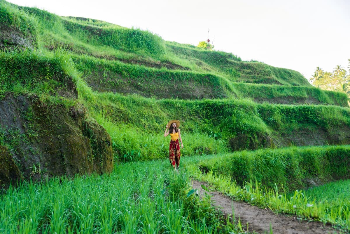 Tegalalang Rice Form