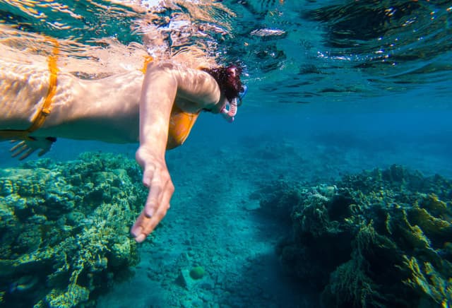 A snorkeler swimming with manta rays