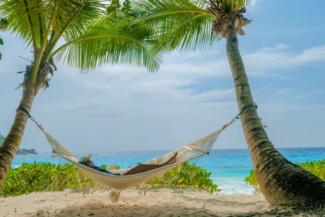 A hammock on a private beach