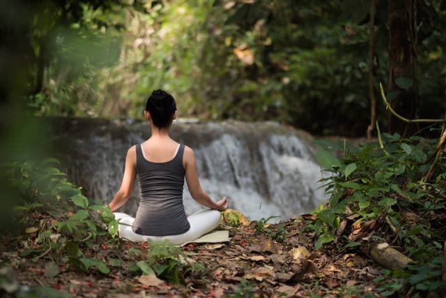 A meditation class in a jungle setting
